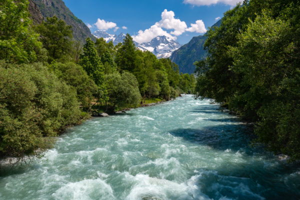 Acheter des arbres. Parc national des Ecrins : La rivière Severaisse en été avec le pic Jocelme au loin. Vallée de Valgaudemar dans les Hautes-Alpes (Alpes Français).